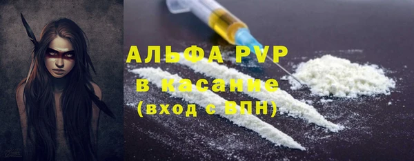 PSILOCYBIN Михайлов
