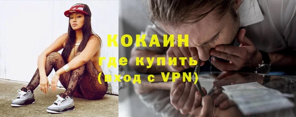 стаф Кострома