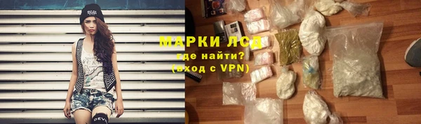 PSILOCYBIN Михайлов