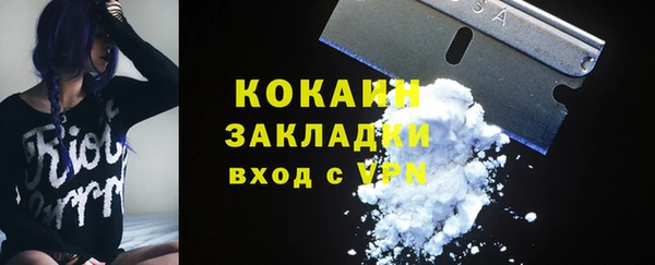 шишки Михайловка