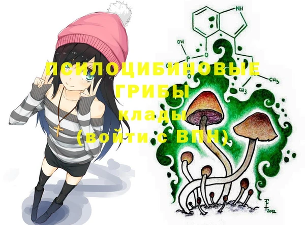 шишки Михайловка