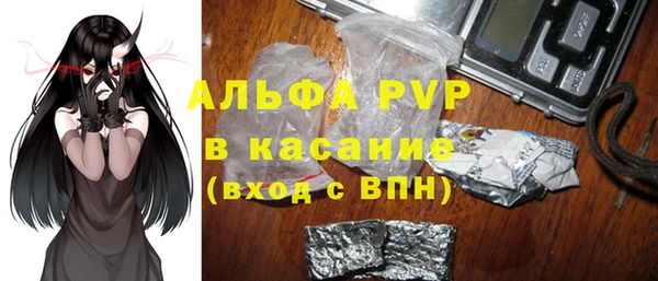 PSILOCYBIN Михайлов