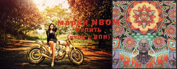 шишки Михайловка