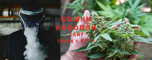 PSILOCYBIN Михайлов