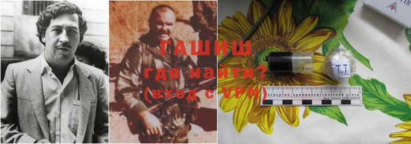 стафф Михайловск