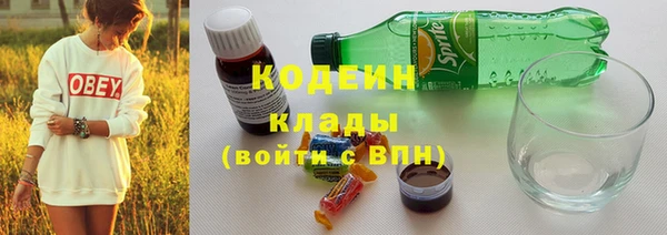 PSILOCYBIN Михайлов