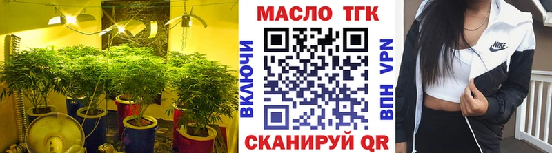 Купить где  Изобильный  ТГК Wax 